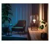 Żarówka LED Philips Hue White and Colour Ambiance E27 2 szt.