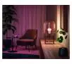 Żarówka LED Philips Hue White and Colour Ambiance E27 2 szt.