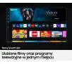 Telewizor Samsung QE65Q67BAU 65" QLED 4K Tizen DVB-T2
