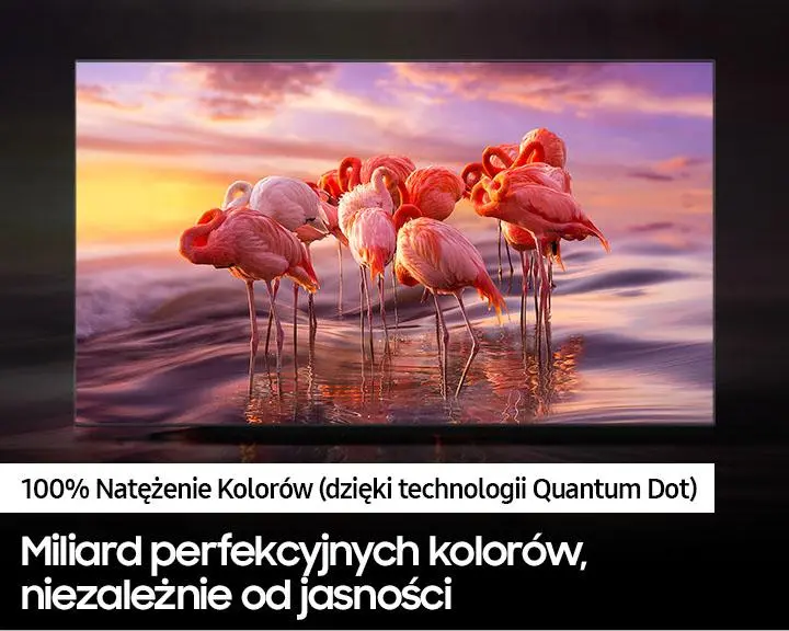 Telewizor Samsung QE65Q67BAU 65" QLED 4K Tizen DVB-T2