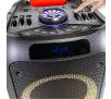 Power Audio Manta SPK5310PRO 120W Bluetooth Radio FM Czarny