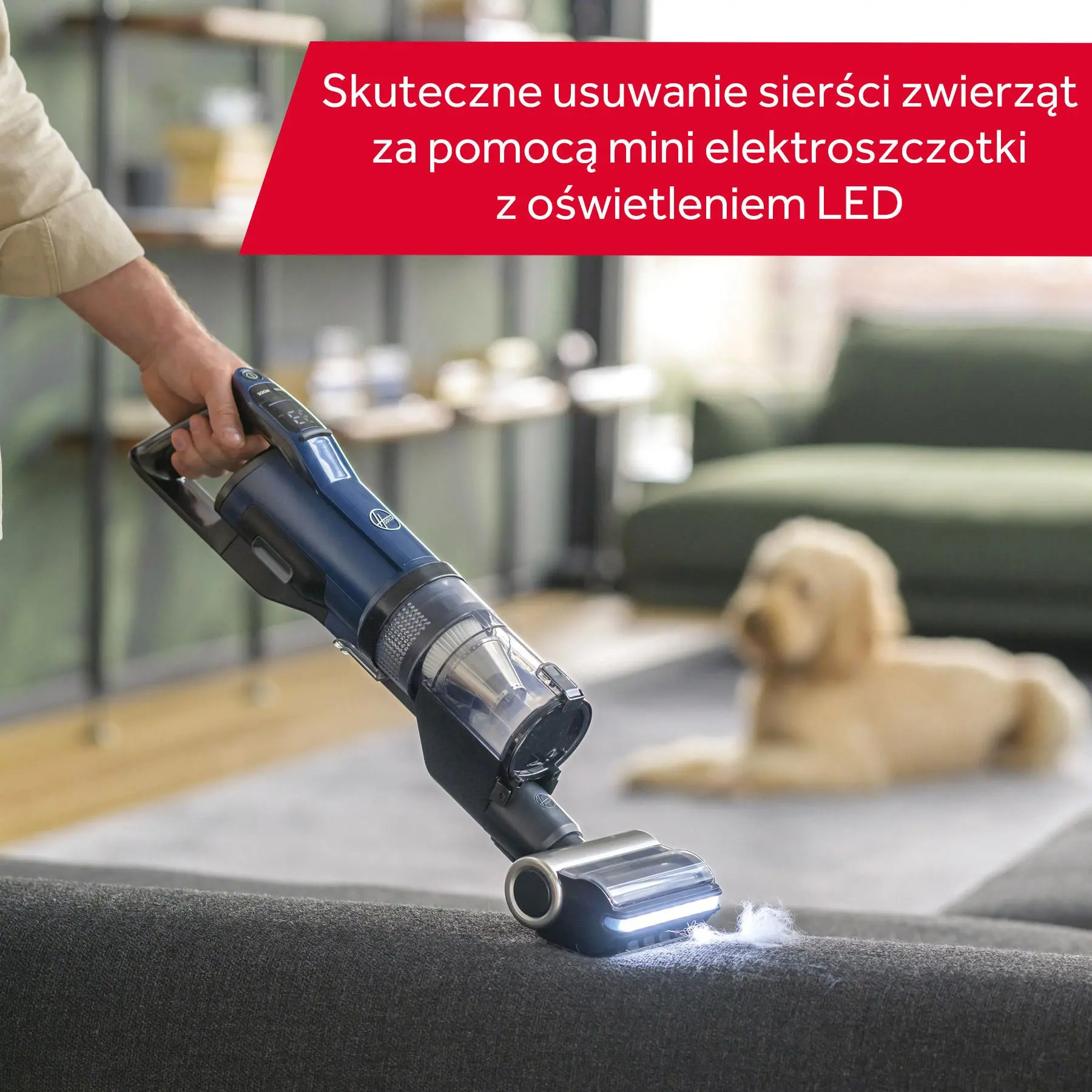 Odkurzacz Hoover HFX Pet HFX20P 011 60min Wymienny akumulator Mini elektroszczotka