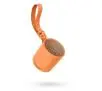 Głośnik Bluetooth Sony SRS-XB100 5W Pomarańczowy