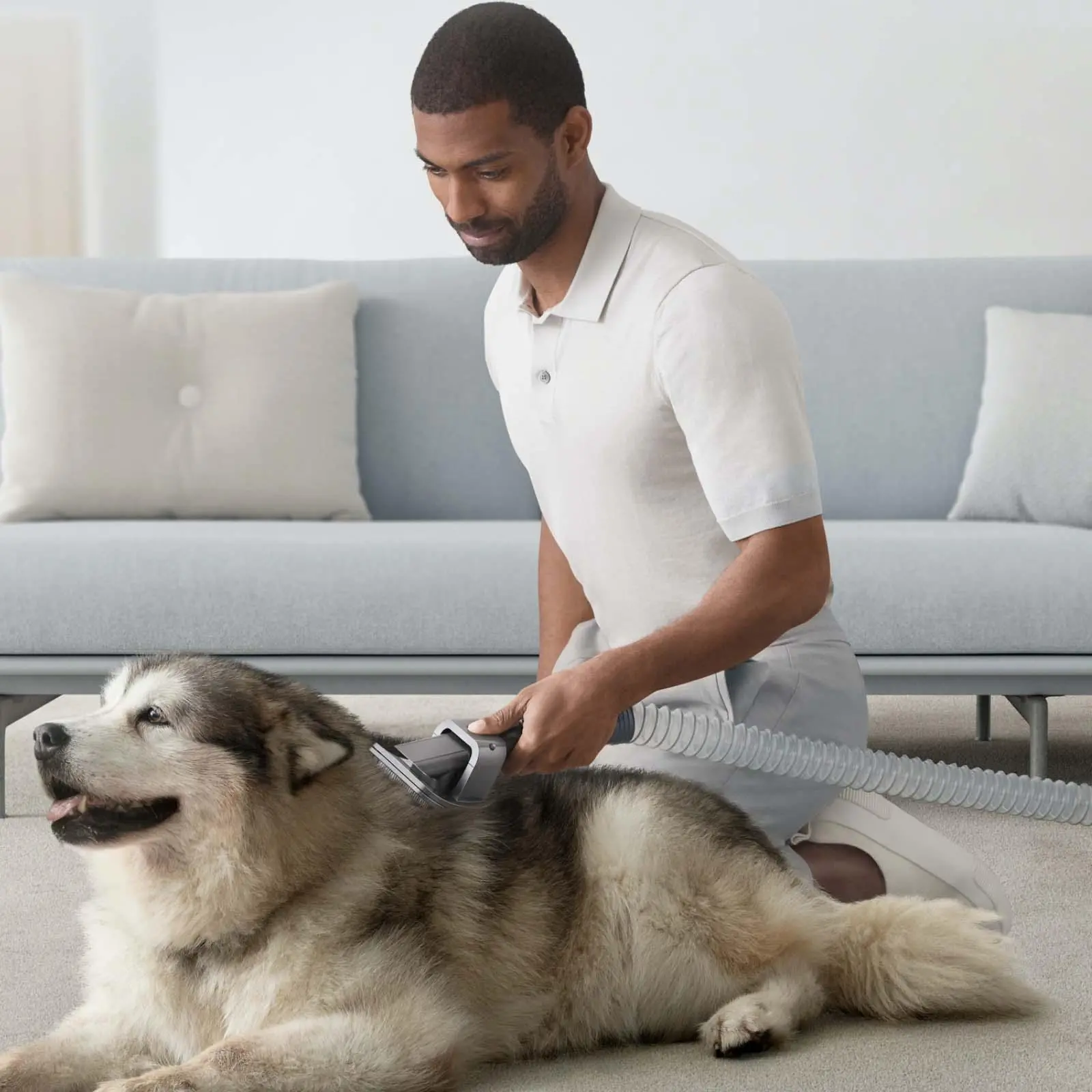 Zestaw akcesoriów Dyson do groomingu dla zwierząt 972205-01