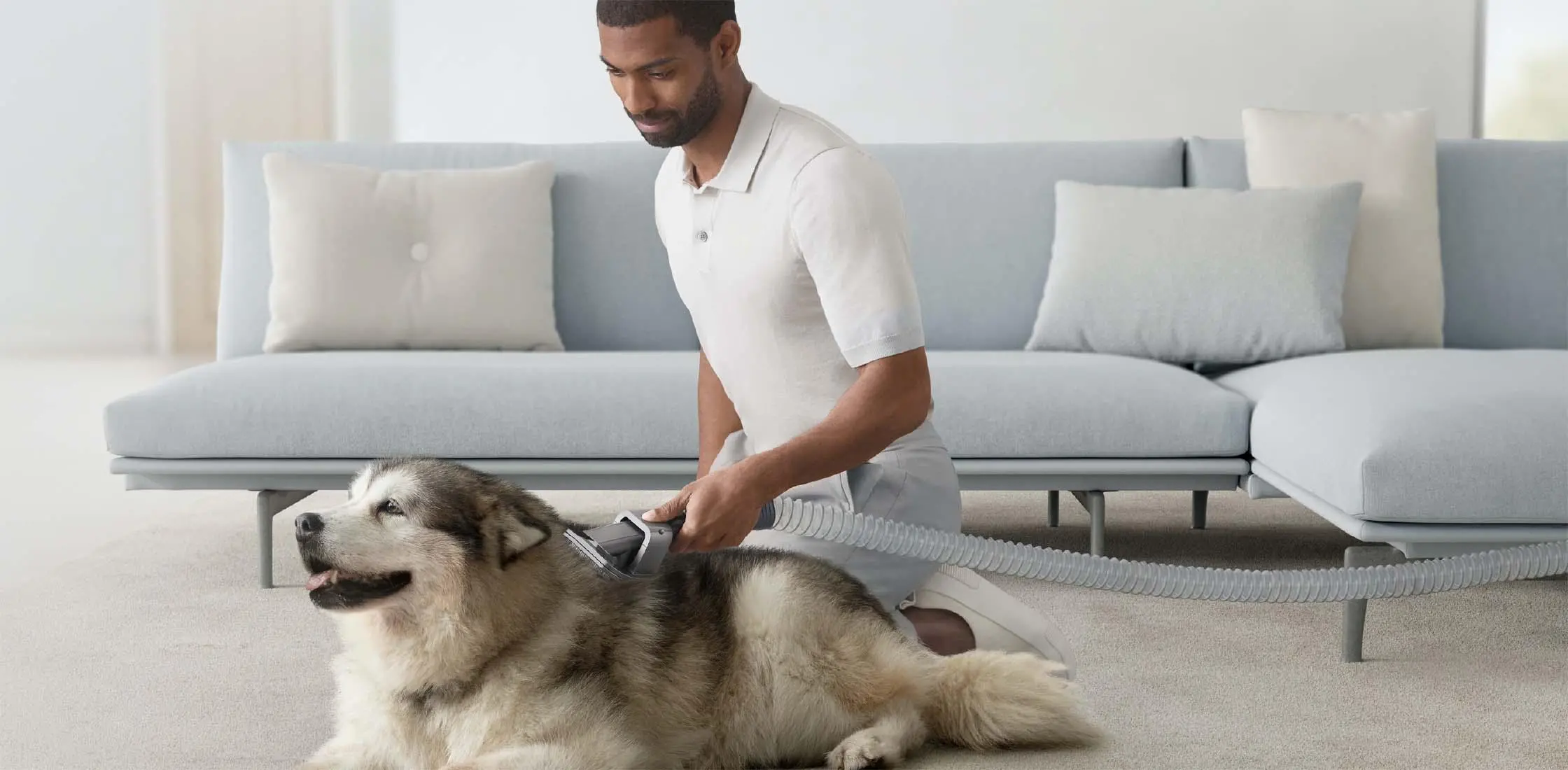 Zestaw akcesoriów Dyson do groomingu dla zwierząt 972205-01