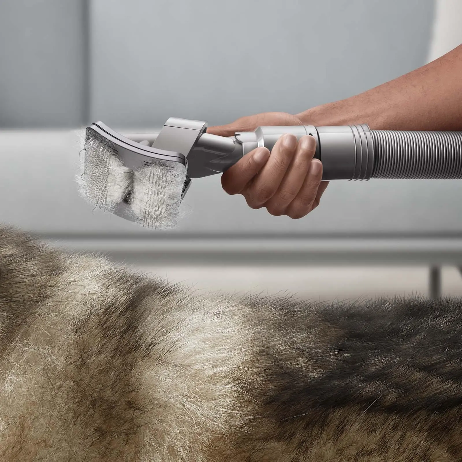Zestaw akcesoriów Dyson do groomingu dla zwierząt 972205-01