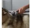 Zestaw akcesoriów Dyson do groomingu dla zwierząt 972205-01