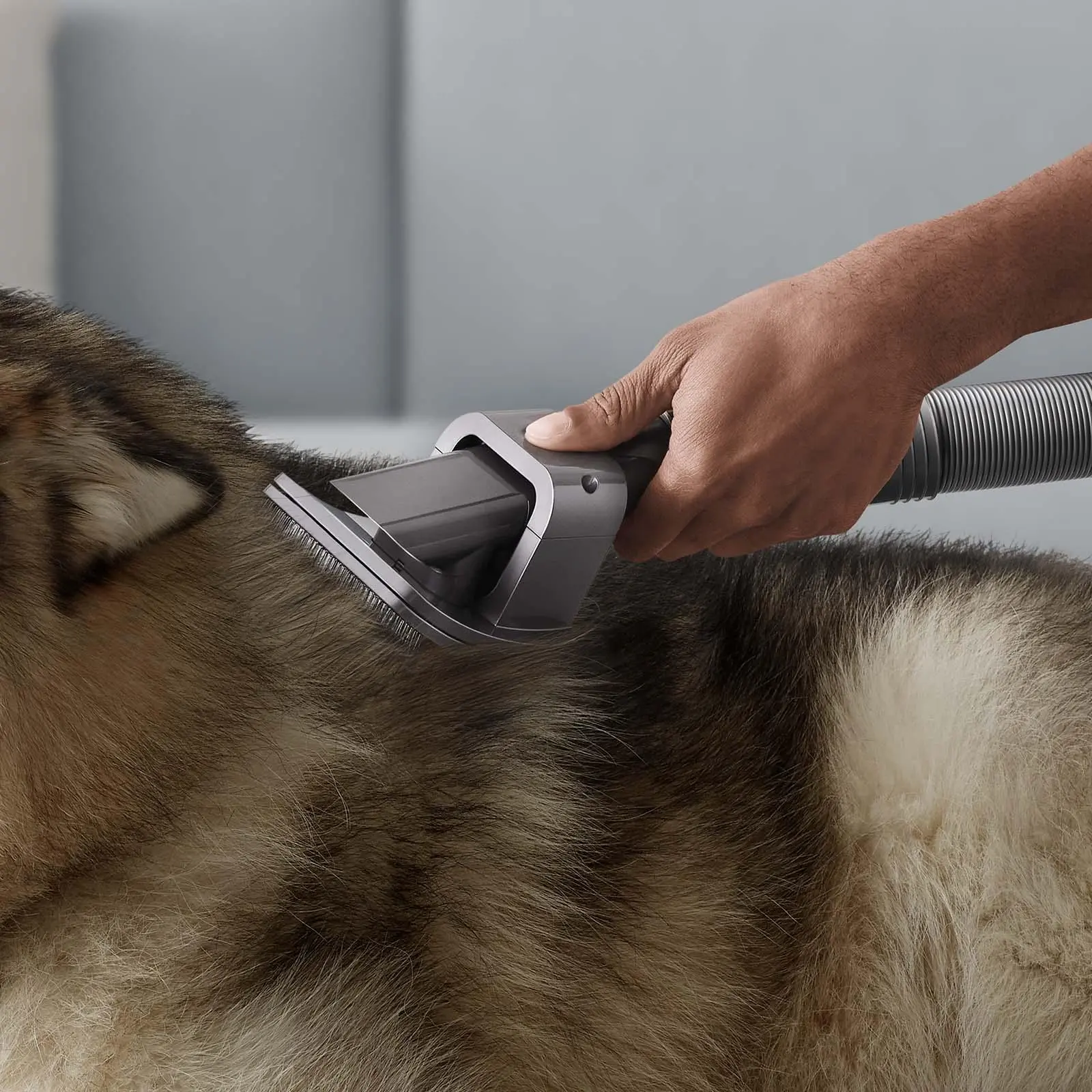 Zestaw akcesoriów Dyson do groomingu dla zwierząt 972205-01