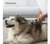 Zestaw akcesoriów Dyson do groomingu dla zwierząt 972205-01