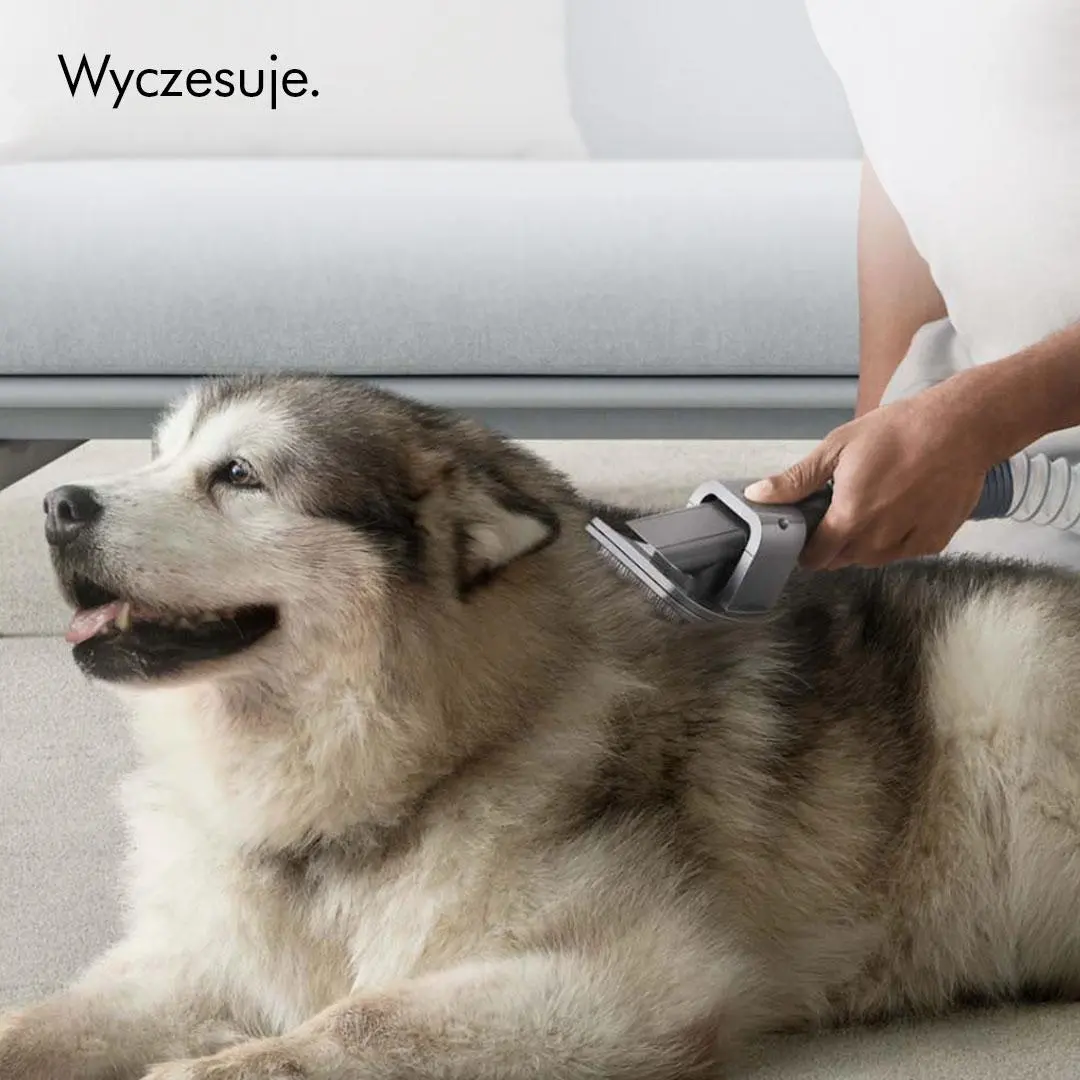 Zestaw akcesoriów Dyson do groomingu dla zwierząt 972205-01