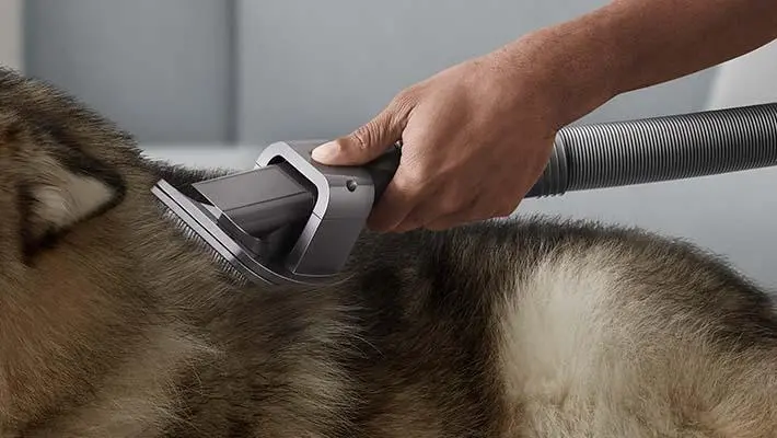 Zestaw akcesoriów Dyson do groomingu dla zwierząt 972205-01