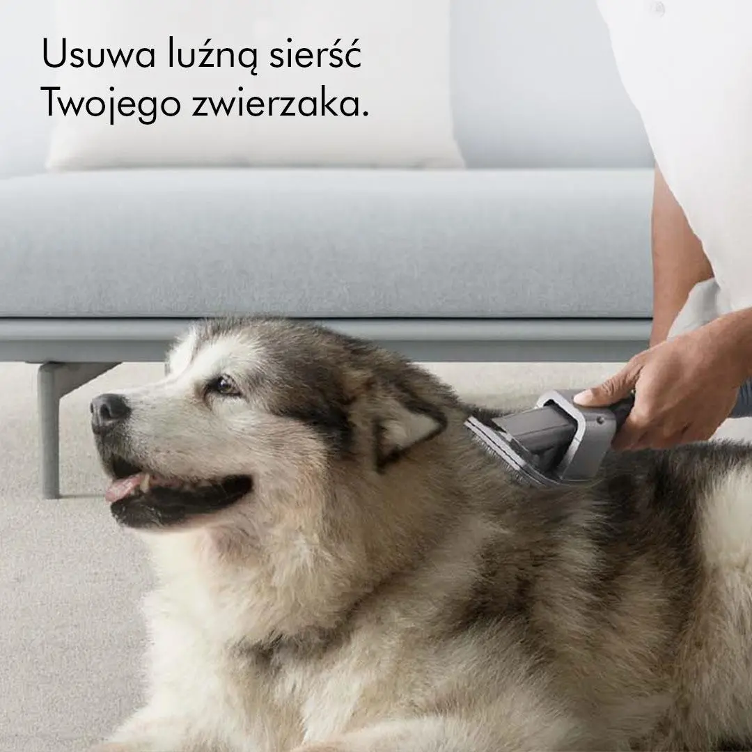 Zestaw akcesoriów Dyson do groomingu dla zwierząt 972205-01