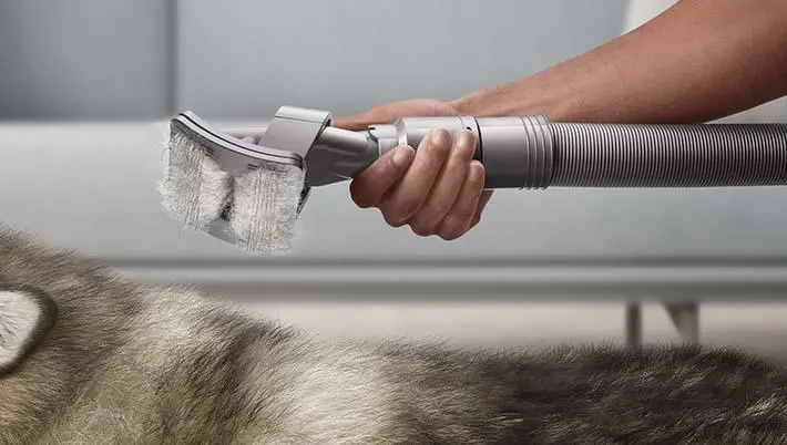 Zestaw akcesoriów Dyson do groomingu dla zwierząt 972205-01