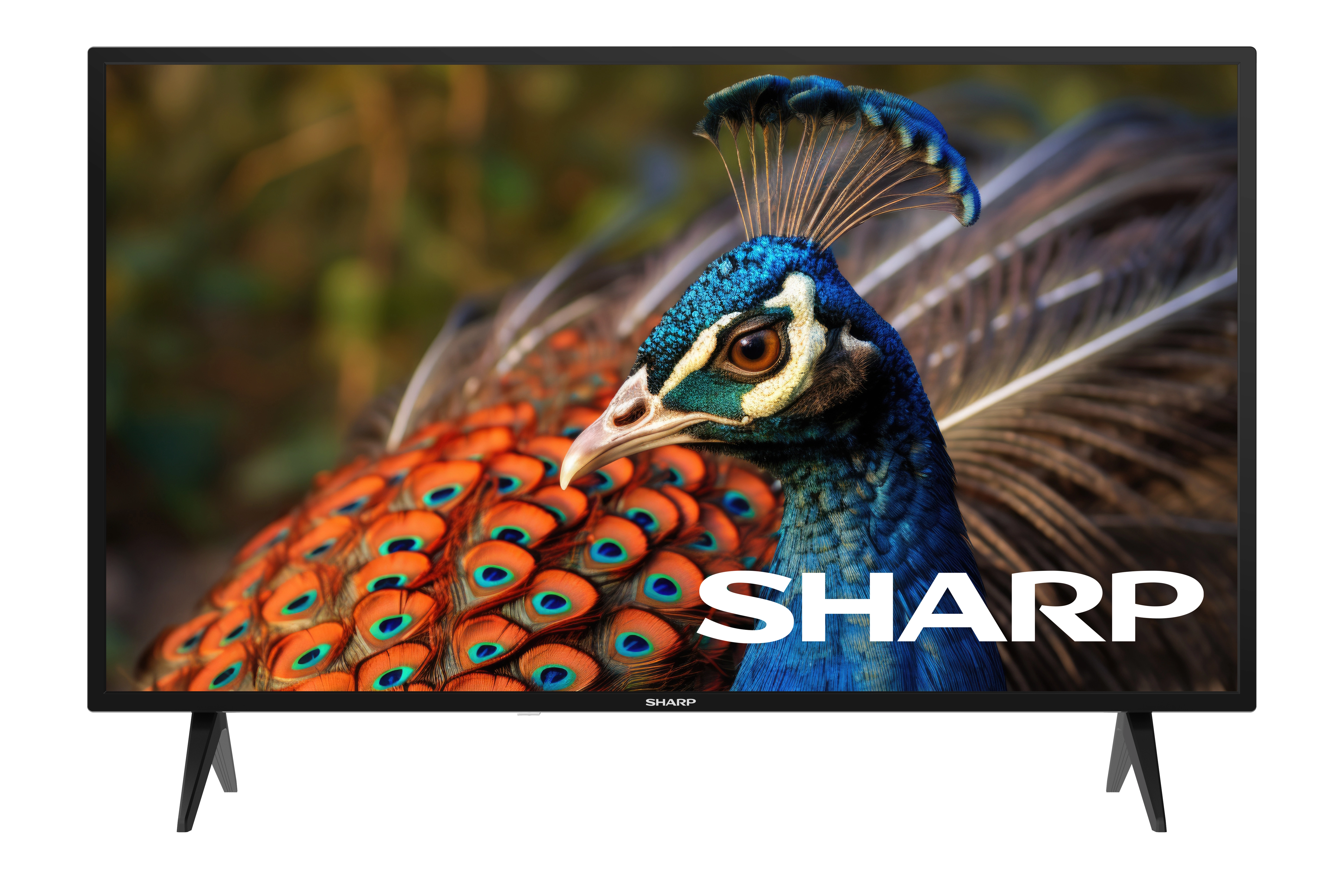 Telewizor Sharp 40FA4E 40" LED Full HD 60Hz DVB-T2