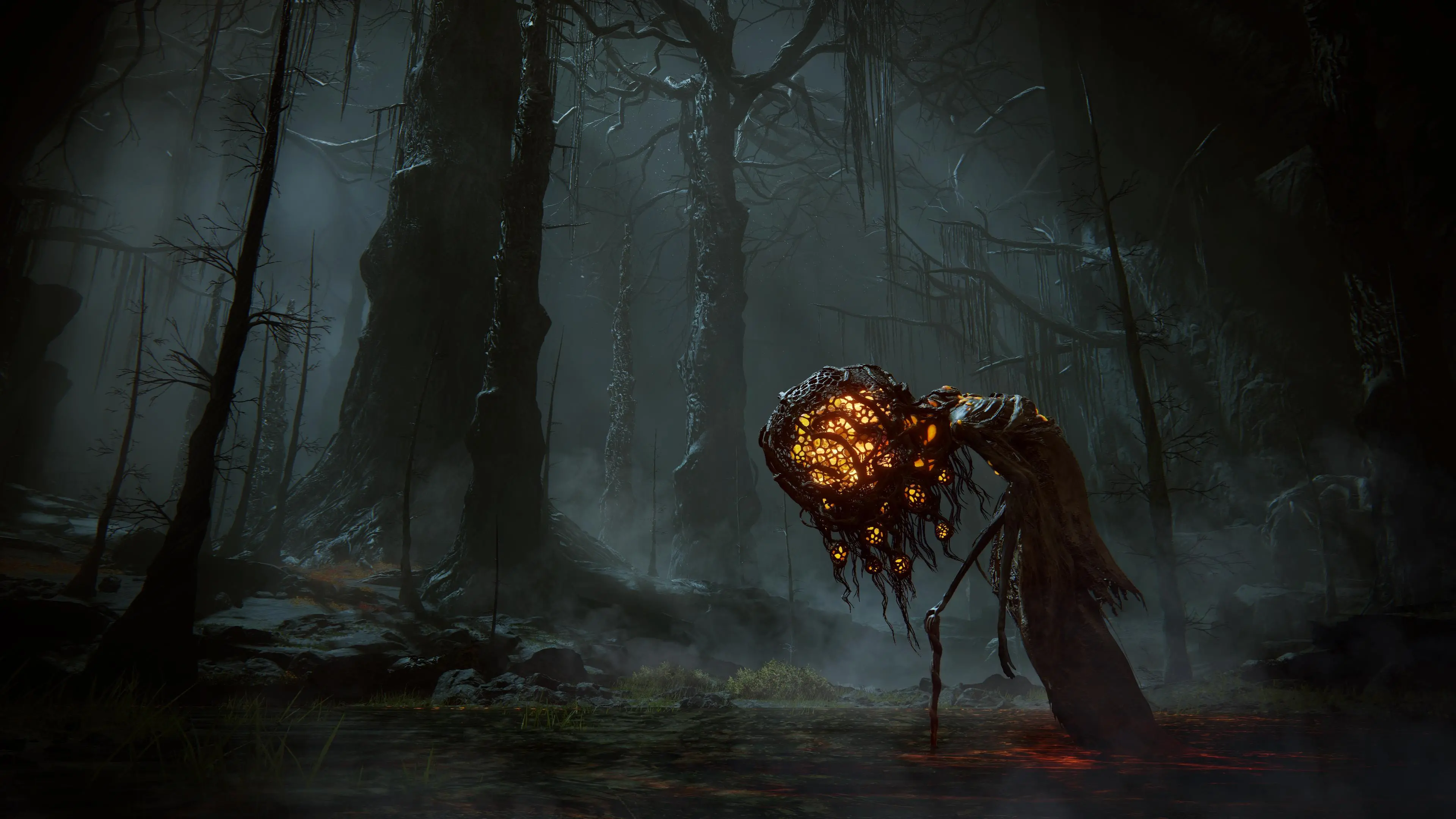 Elden Ring Shadow of the Erdtree Edycja Kolekcjonerska Gra na PS5