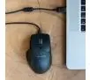 Myszka JLab JBuds Mouse Czarny