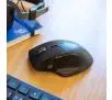 Myszka JLab JBuds Mouse Czarny