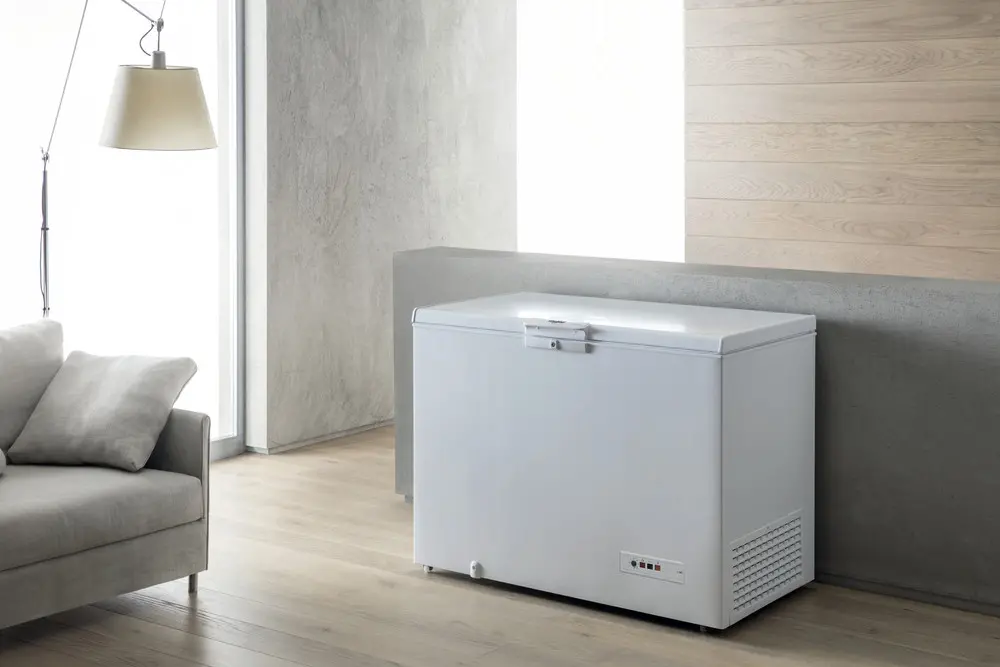 Zamrażarka Whirlpool WHM22113 3