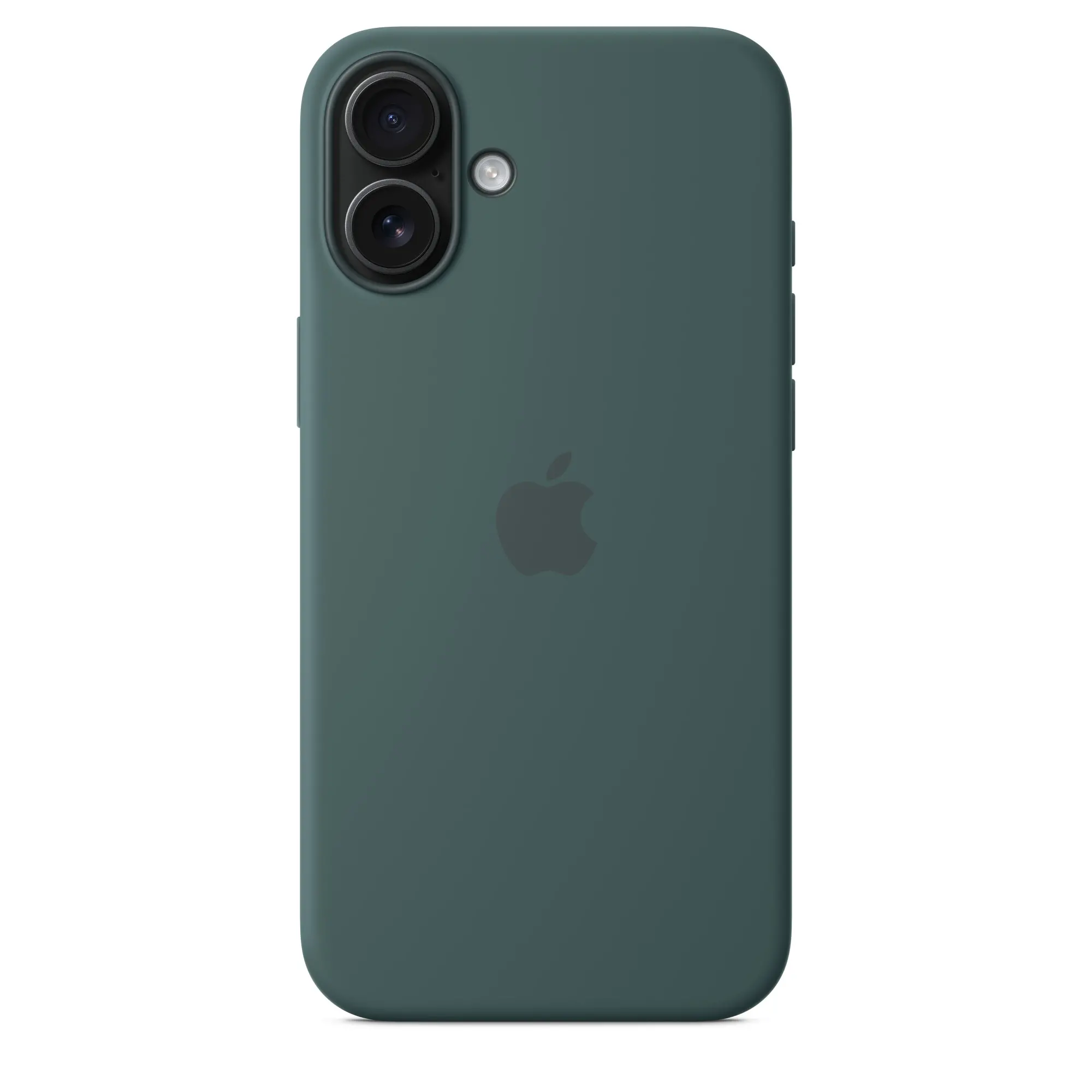 Etui Apple silikonowe etui z MagSafe do iPhone 16 Plus Górskie jezioro