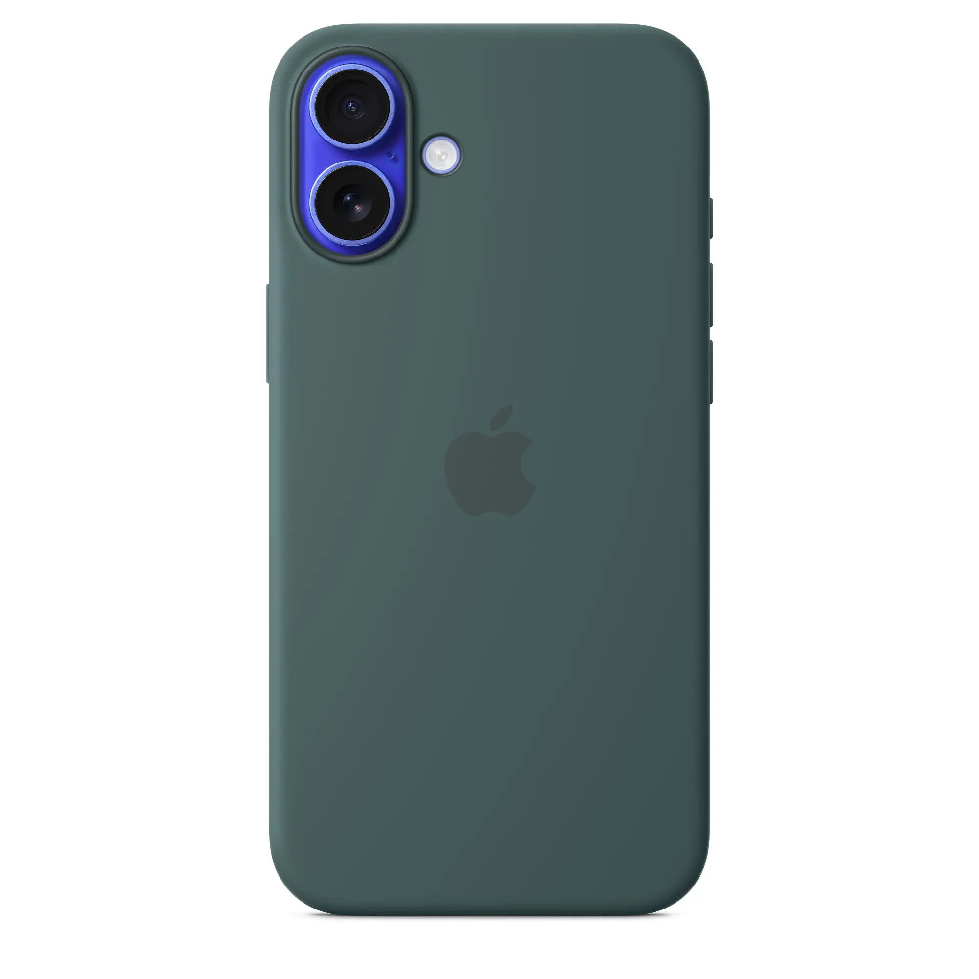 Etui Apple silikonowe etui z MagSafe do iPhone 16 Plus Górskie jezioro