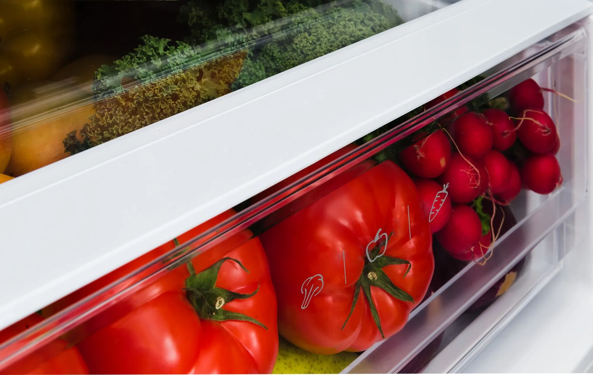 Lodówka Amica FK3606E.2DFX (E) Pełny No Frost 185,5cm Szuflada z kontrolą wilgotności Inox