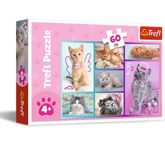 Puzzle Słodkie kociaki 60 elementów