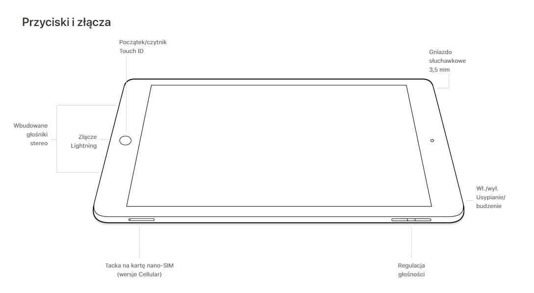 Apple iPad Wi-Fi + Cellular 128GB Złoty
