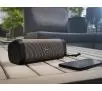 Głośnik Bluetooth Denon Envaya DSB-250BT 27W Szary