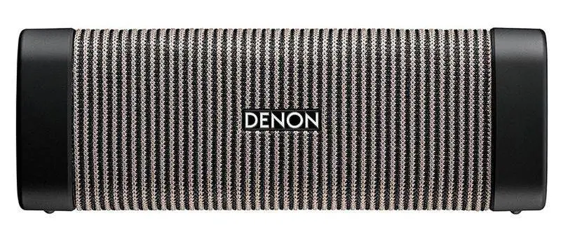 Głośnik Bluetooth Denon Envaya DSB-250BT 27W Szary