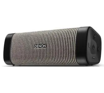 Głośnik Bluetooth Denon Envaya DSB-250BT 27W Szary