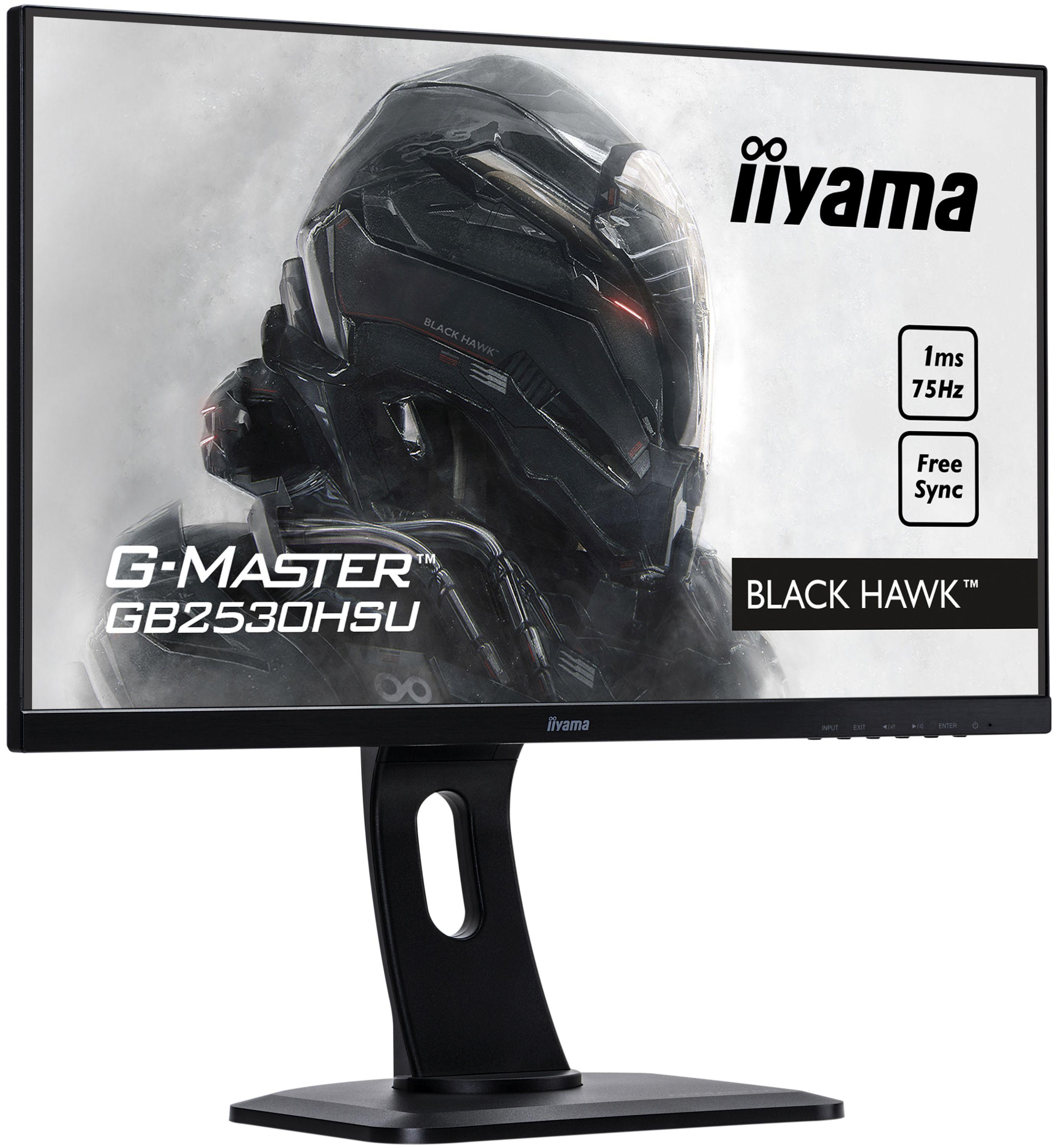 iiyama G-Master Black Hawk GB2530HSU-B1