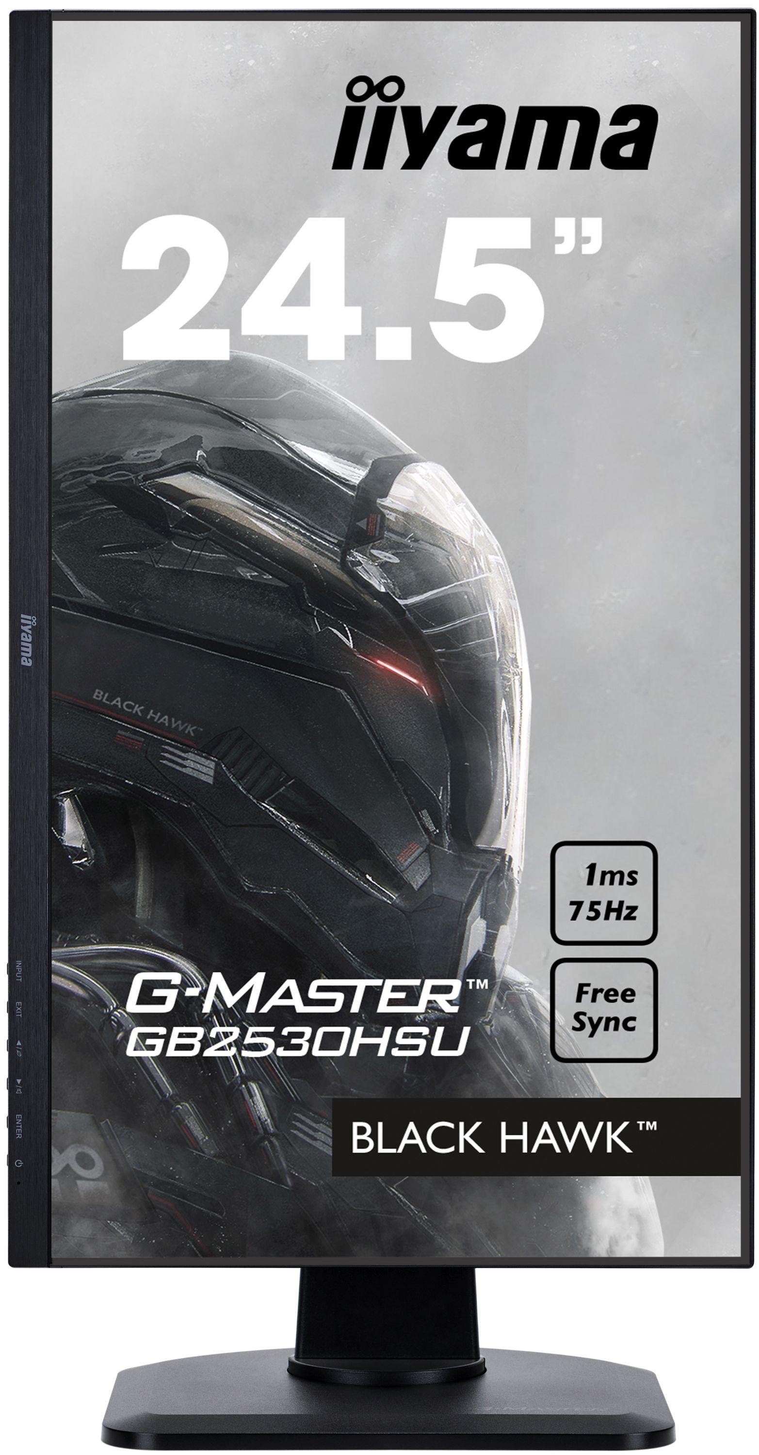 iiyama G-Master Black Hawk GB2530HSU-B1