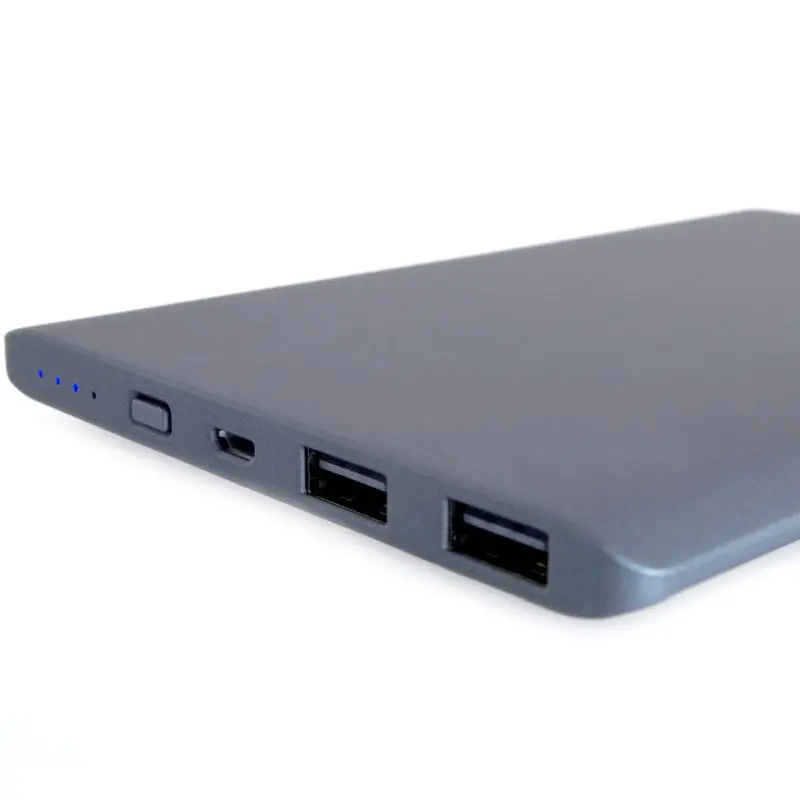 Powerbank PowerNeed P10000S 10000mAh Szary