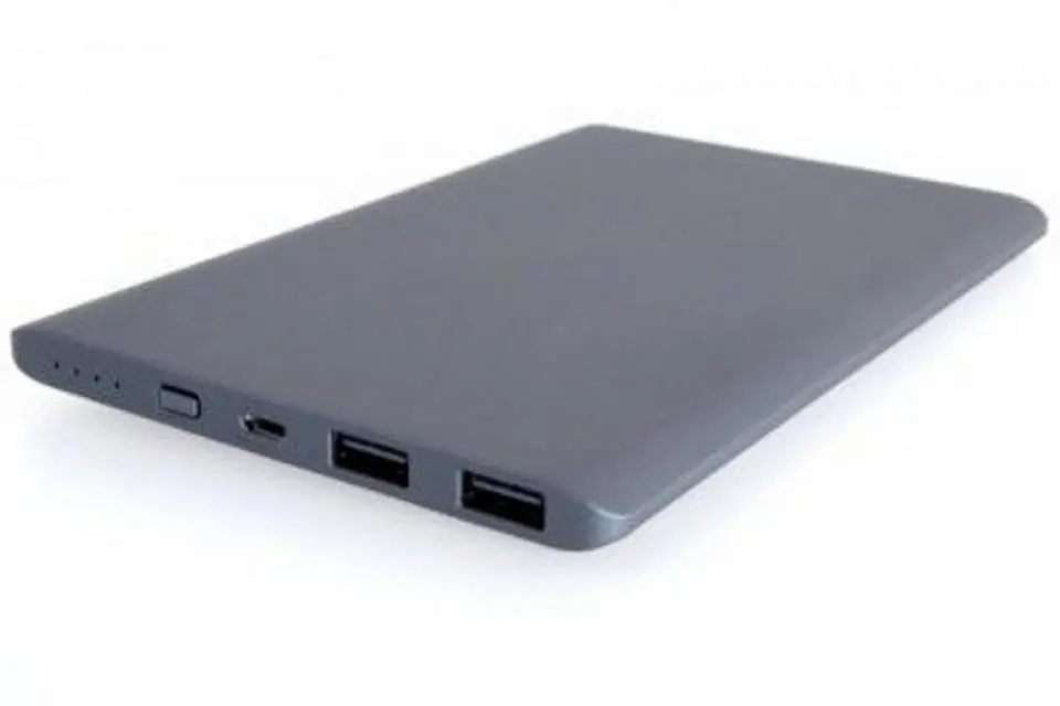 Powerbank PowerNeed P10000S 10000mAh Szary