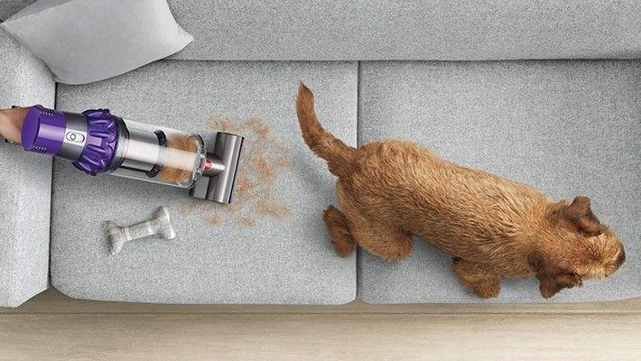 Odkurzacz Dyson V10 Animal 60min Wymienny akumulator Mini elektroszczotka