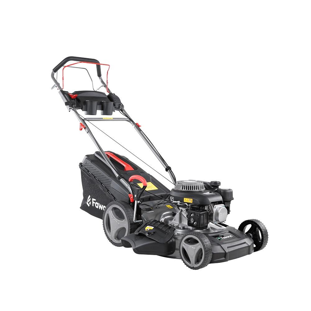 Faworyt DK46N150-4 w 1