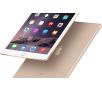Apple iPad Air 2 Wi-Fi 128GB Złoty