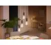 Żarówka LED Philips Hue White Ambiance Filament Globe E27 1 szt.