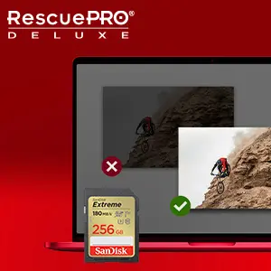 Karta pamięci SanDisk SDXC 256GB Extreme 180/130MB/s