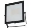 Naświetlacz Loyal Lighting LY-FLE50 7200lm