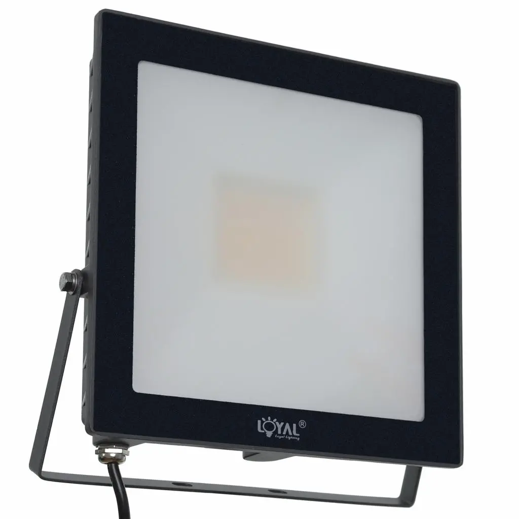 Naświetlacz Loyal Lighting LY-FLE50 7200lm