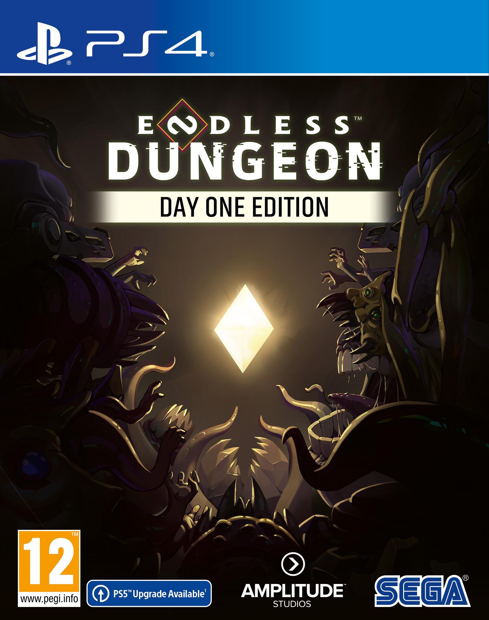 Endless Dungeon Edycja Day One Gra na PS4