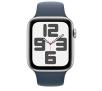 Smartwatch Apple Watch SE 2gen GPS + Cellular koperta 44mm z aluminium Srebrnym pasek sportowa Zimowy błękit S/M