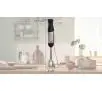 Blender Bosch ErgoMaster Serie 6 MSM6M610 1000W