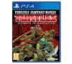 Teenage Mutant Ninja Turtles: Mutants in Manhattan PS4 / PS5