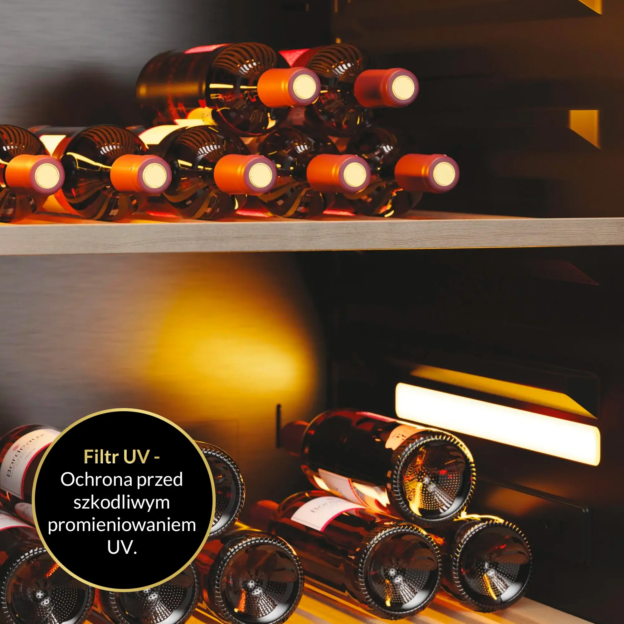 Chłodziarka do wina Haier Wine Bank Series 7 HWS247FDU1 247 miejsc na butelki
