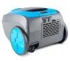 Odkurzacz Zelmer ZVC262 Tadek 800W Mini turboszczotka Szczotka do parkietów