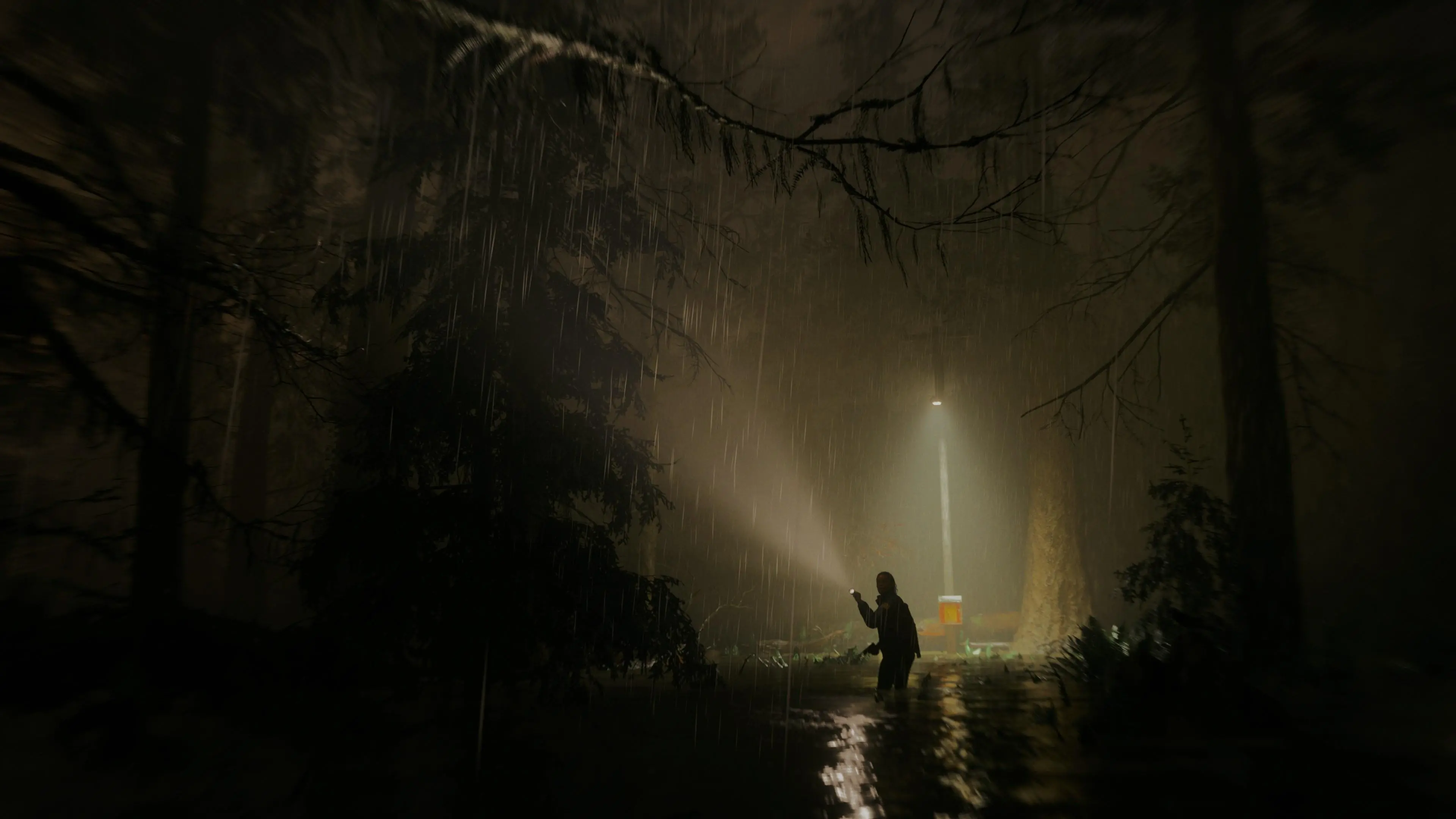 Alan Wake 2 Edycja Deluxe Gra na PS5