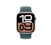 Pasek Apple sportowy 42mm S/M Górskie jezioro