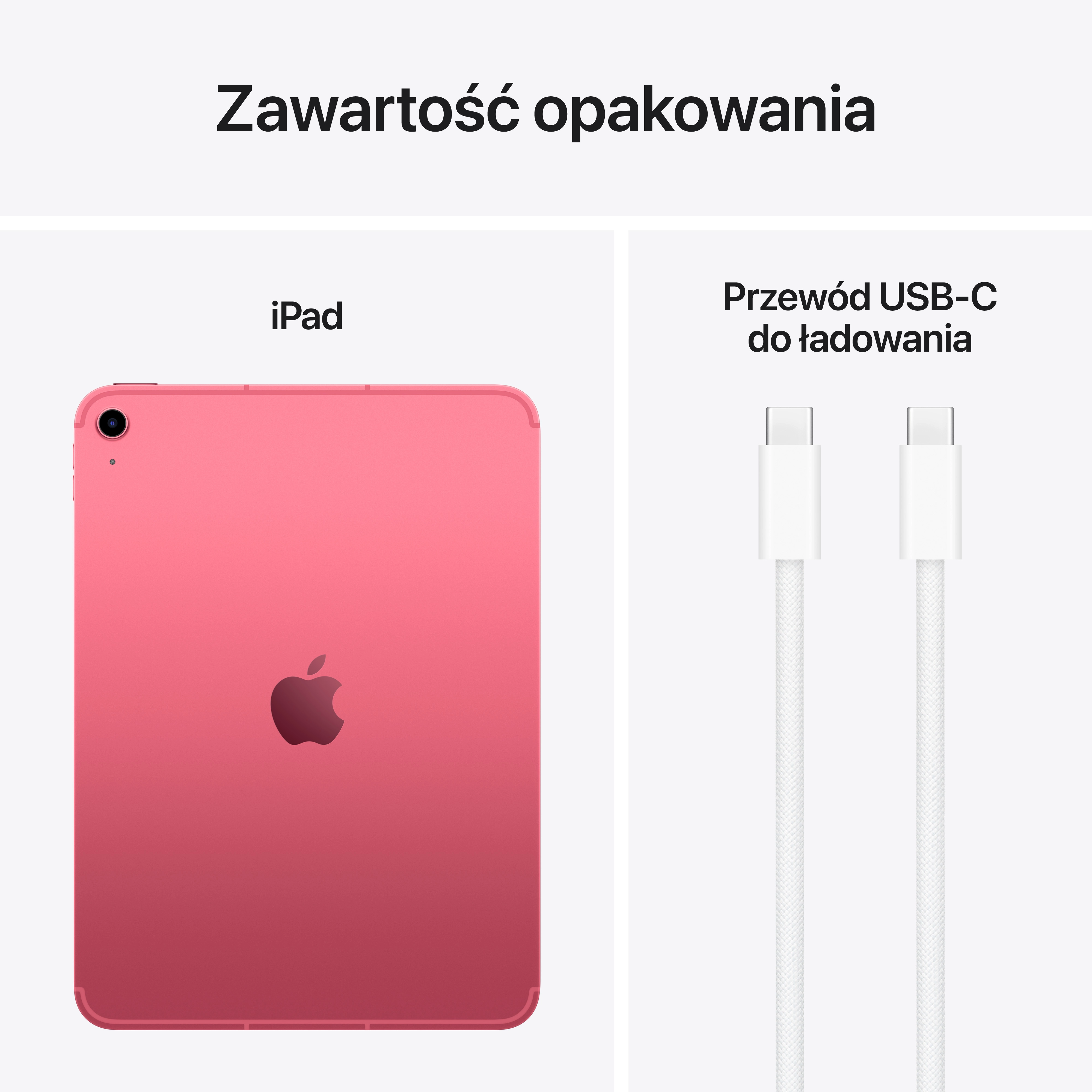 Apple iPad 11" 11 gen 256GB Wi-Fi Cellular 5G Różowy